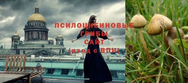 ешки Липки